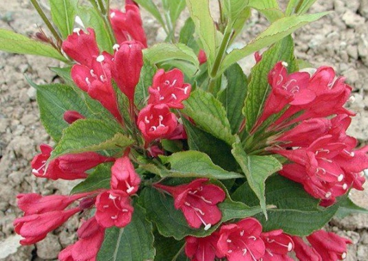 1630547675617980.jpg image.jpg