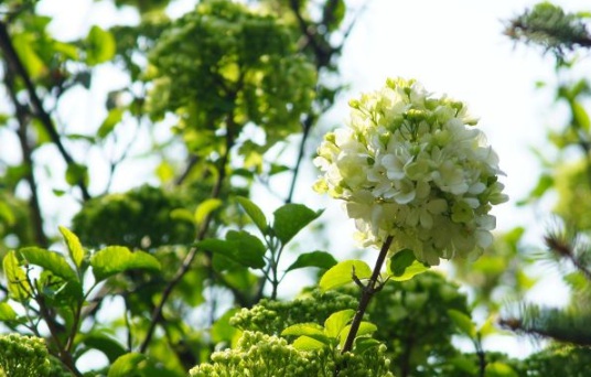 1630548393325001.jpg image.jpg