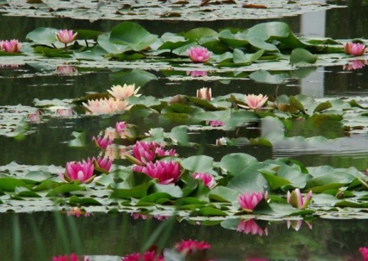 1630548645267568.jpg image.jpg