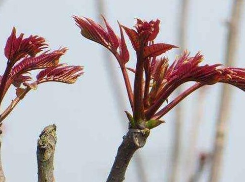 1630672739801492.jpg image.jpg