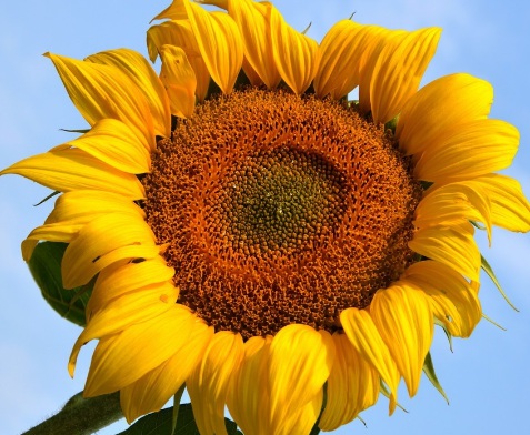 1630674396511276.jpg image.jpg