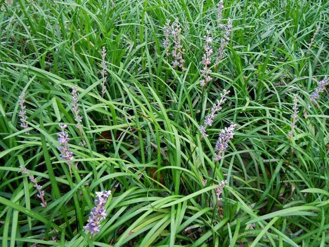 1630748631440700.jpg dd9721507992236e73791c4df0f4742f_c6980a0f97081383f5b39c4d92ec0555122c91671f78e-3rDfQR_fw658.jpg