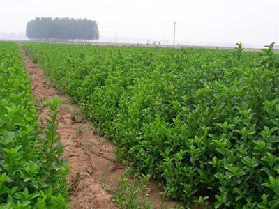 1630757228234810.jpg 1630757228234810.jpg