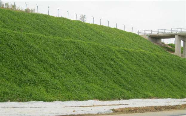 1630758164241096.jpg 1630758164241096.jpg