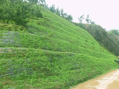 1630758183517796.jpg 1630758183517796.jpg