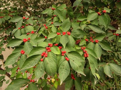 1630758639433718.jpg 1630758639433718.jpg