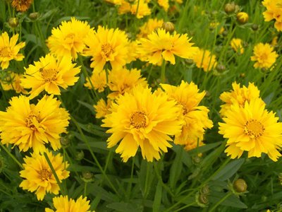 1630759538995369.jpg 1630759538995369.jpg