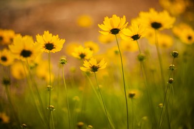 1630759577850275.jpg 1630759577850275.jpg