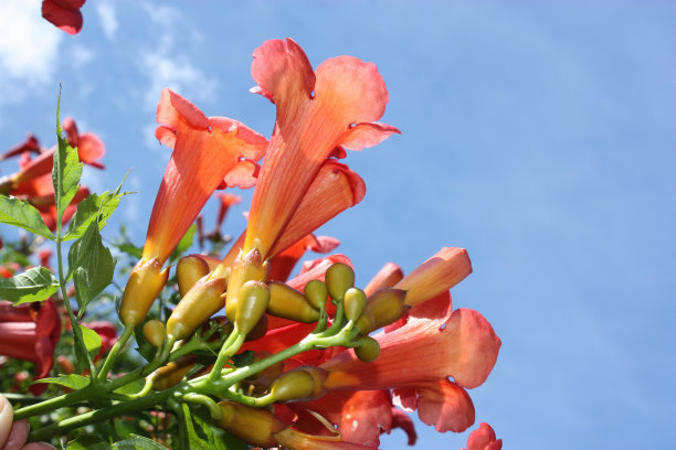 1630760337236669.jpg 1630760337236669.jpg