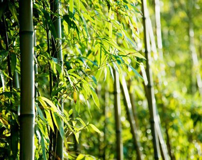 1630912779627938.jpg 1630912779627938.jpg