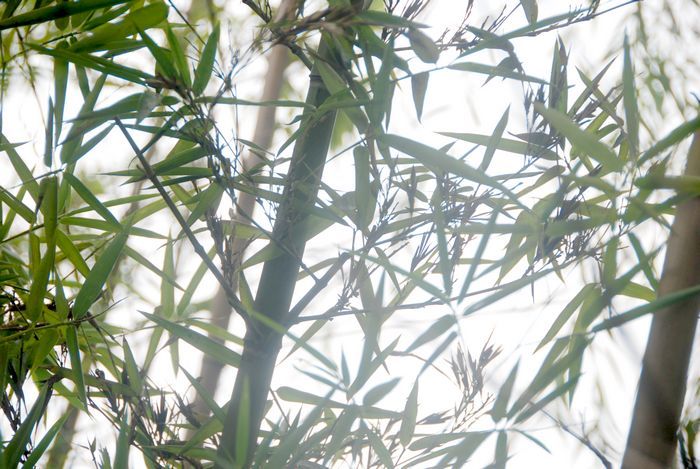 1630912799466841.jpg 1630912799466841.jpg