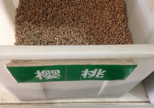 1630917598522532.jpg image.jpg