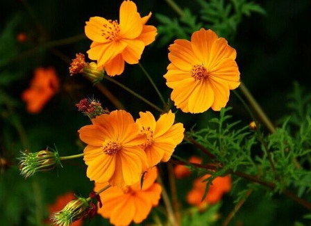 1630921463875306.jpg 1630921463875306.jpg