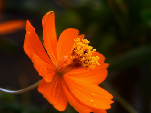 1630921472604211.jpg 1630921472604211.jpg