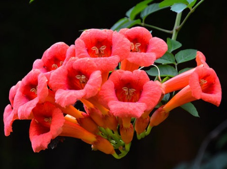 1630921726792882.jpg image.jpg