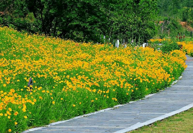 1630930732435274.jpg 緊急3.jpg