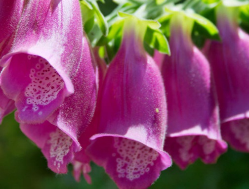 1631065762156603.jpg image.jpg