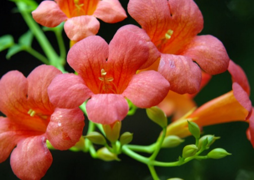 1631067736301617.jpg image.jpg