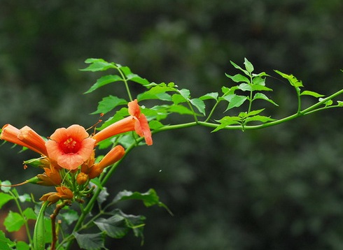 1631067745406718.jpg image.jpg