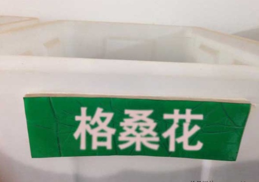 1631083632576493.jpg image.jpg