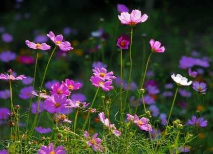 1631114041294671.jpg 1631114041294671.jpg