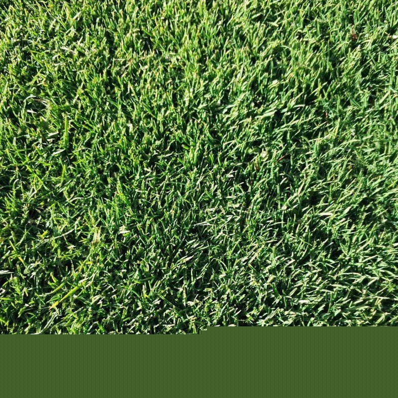 1631156709237885.jpg 5bb080426c93bf90f8966a12cba96e21_d2f6cdd432695ef90208884008613973.jpg