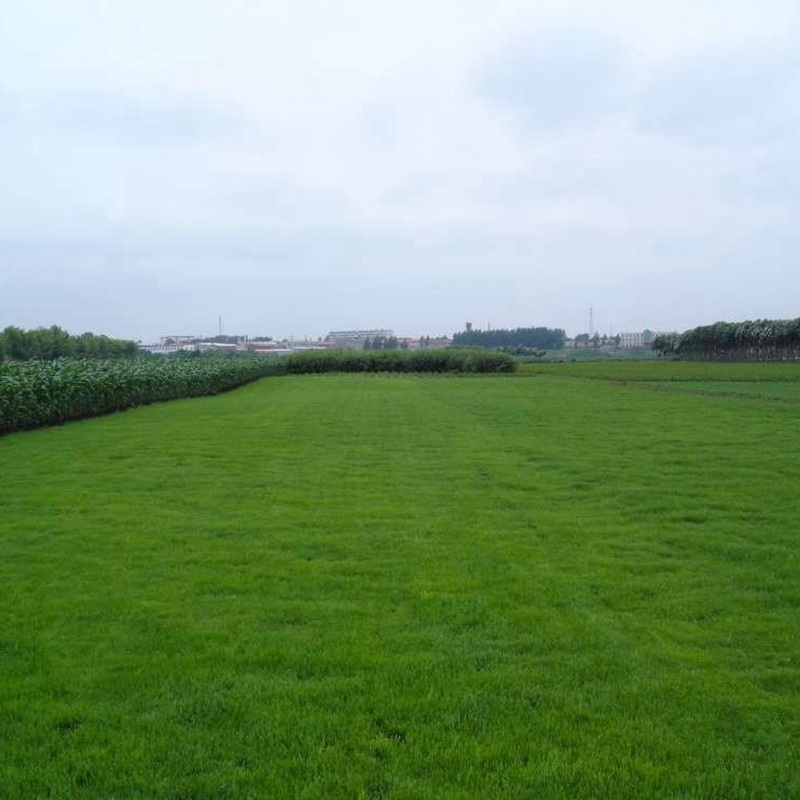 1631156722736228.jpg cdd53cc2d24cff19c79025e2e2a60058_1584583628431287.jpg