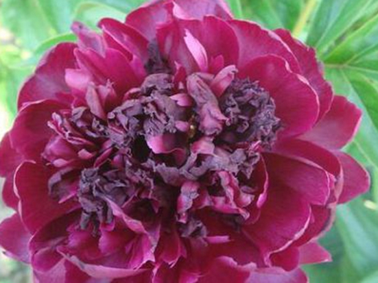 1611045050531956.jpg 160210381.jpg