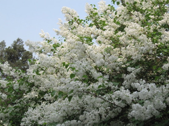 1631176796646206.jpg 1631176796646206.jpg