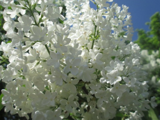 1631176797527506.jpg 1631176797527506.jpg