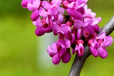 1631272905663461.jpg 1631272905663461.jpg