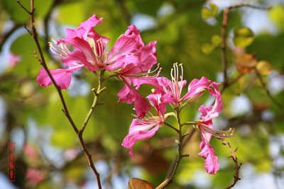 1631272927219881.jpg 1631272927219881.jpg