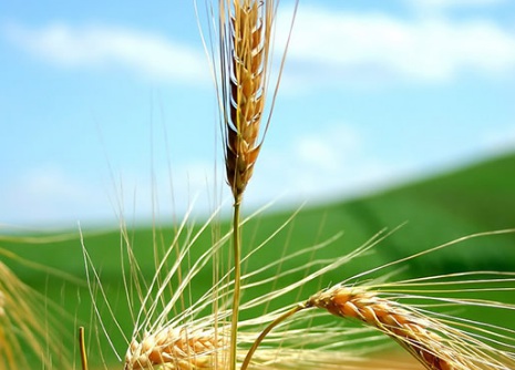 1631422449522321.jpg 1631422449522321.jpg