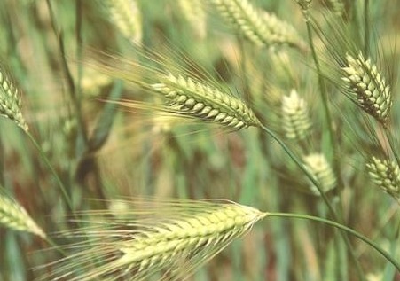 1631422461538404.jpg 1631422461538404.jpg