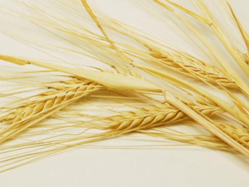 1631422470419541.jpg 1631422470419541.jpg