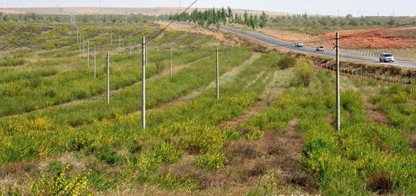 1631437748235039.jpg image.jpg