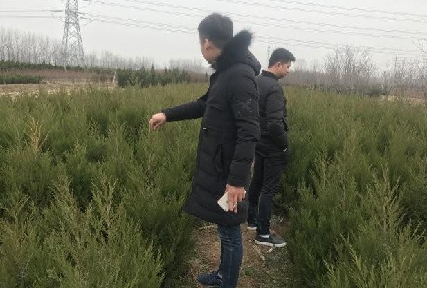 1631438096502120.jpg image.jpg