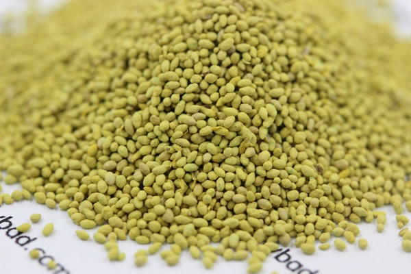 ??aè??é￠??§??-?