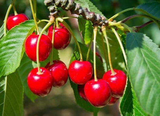 1631441543123301.jpg 1631441543123301.jpg