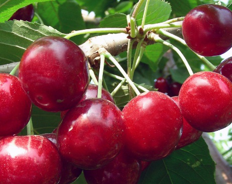 1631441556317260.jpg 1631441556317260.jpg