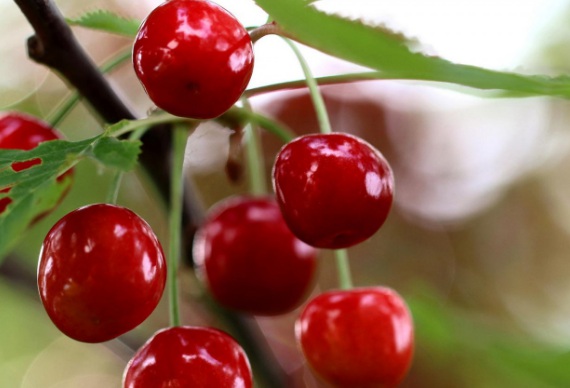 1631442697999793.jpg 1631442697999793.jpg