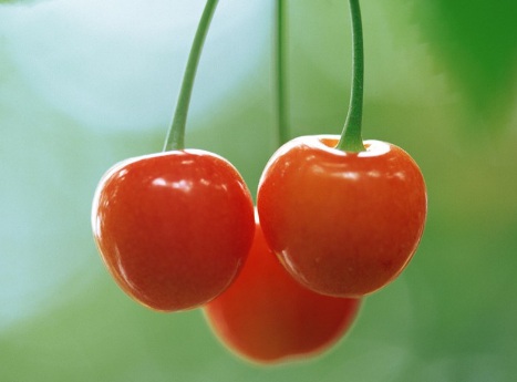 1631442706657874.jpg 1631442706657874.jpg