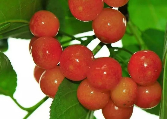 1631442716357868.jpg 1631442716357868.jpg