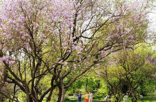 1631443759145544.jpeg 1631443759145544.jpeg