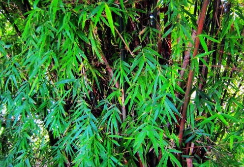 1631453064348539.jpg 1631453064348539.jpg