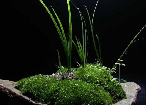 1631453457311483.jpg image.jpg