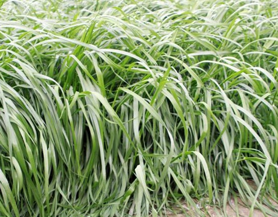 1631454609877859.jpg 1631454609877859.jpg