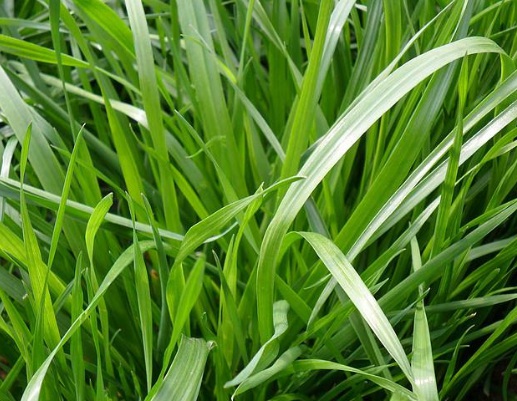 1631454618968882.jpg 1631454618968882.jpg