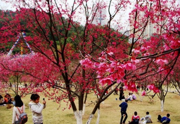 1631501437243099.jpg 1631501437243099.jpg