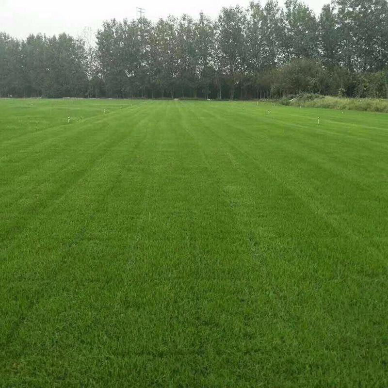 1631524039922525.jpg e3d71dd0c0c11192cf19e062793723c9_6cc03659508bd10b44507b73a0900345.jpg